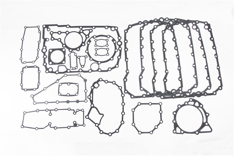 Набор прокладок КПП КАМАЗ ZF16S151,16S181,16S221 (17наим.) чёрный (Москва) ( ОЕ 03-80-311 ) 1315298001-95531261-17Н чёр. (03-80-311)