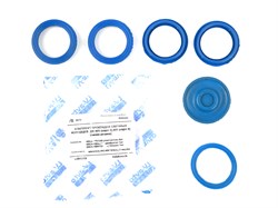 Ремкомплект  уплотнителей свечных колодцев Евро 3 МБС синий  (из 6 шт) 40624 Балаково 40624-1007248/9159/4-1