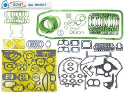 Комплект прокладок двигателя КАМАЗ ЕВРО-4, 5 Эконом под крышку пласт. ЕНА (53 наим. / 154 шт. прокладки паронит+ кольца+ силикон/ 740.70-1002000-Э)  